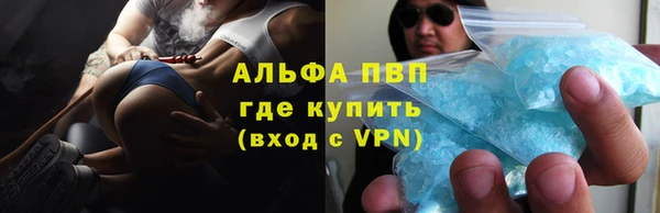 сатива Абаза