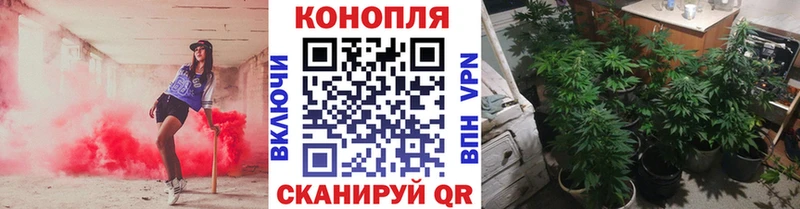продажа наркотиков  Аксай  Шишки марихуана Ganja 